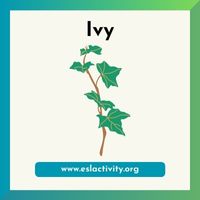 ivy image