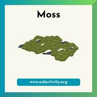 moss image