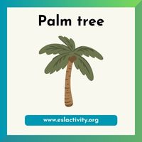 palm tree image