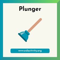 plunger image