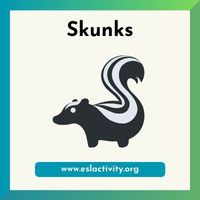 skunk image
