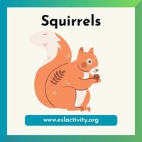 squirrel image