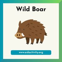wild boar image