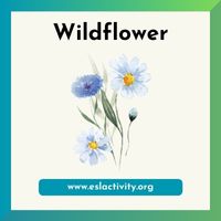 wildflower image