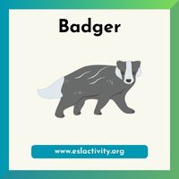 badger image