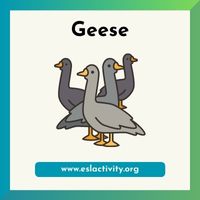 geese image
