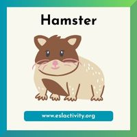 hamster image