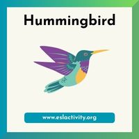 hummingbird image 