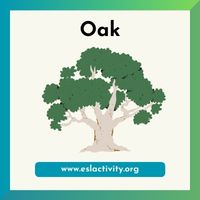 oak image