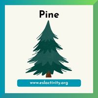 pine image