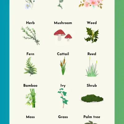 Plant Names in English | Most Common Types of Plants