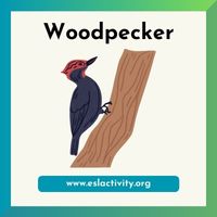 woodpecker image