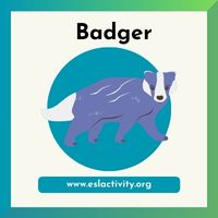 Badger clipart
