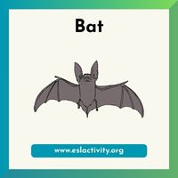 Bat clipart