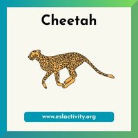 Cheetah clipart