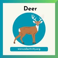 Deer clipart