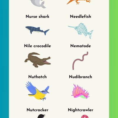 Animals that Start with the Letter N (List with Pictures)