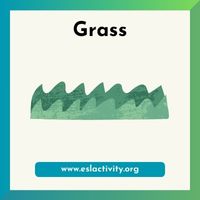 grass