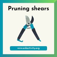 Pruning shears