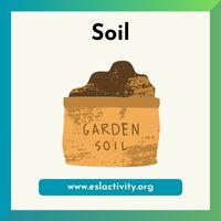 Soil