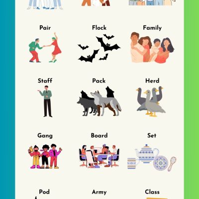 Collective Noun List | Examples of Collective Nouns