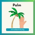 Homonyms Examples with Pictures | Homonyms with Sentences