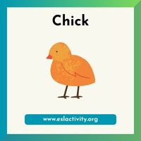 Chick