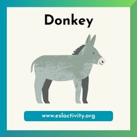 Donkey