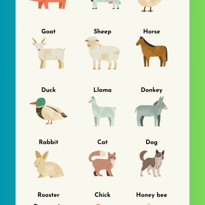 Domestic Animals Name | Farm Animals with Pictures