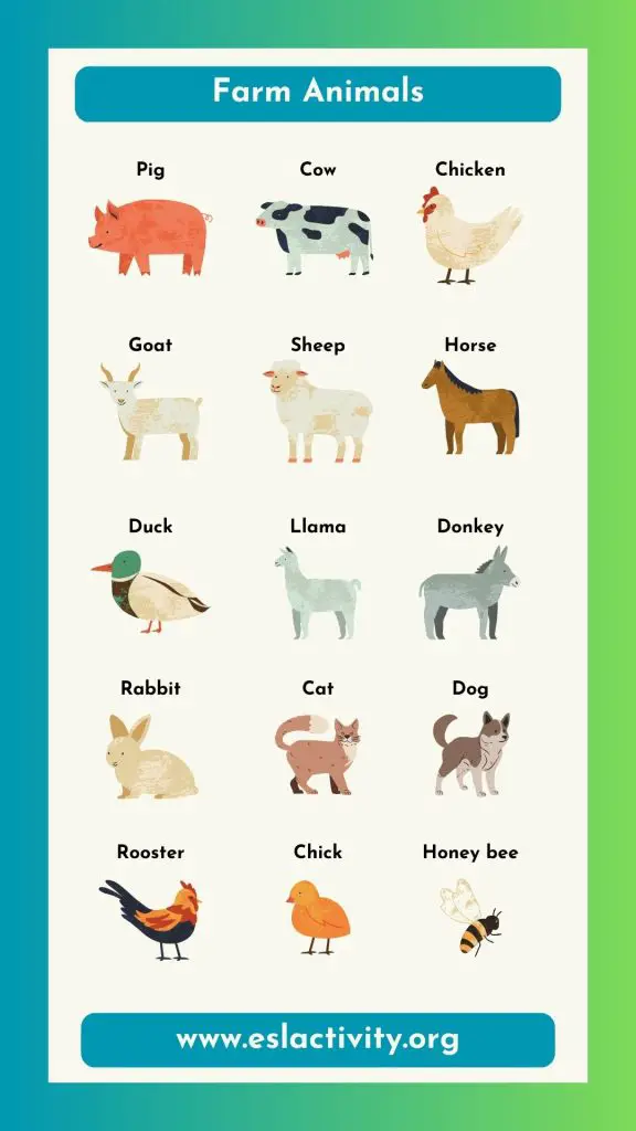 domestic animals