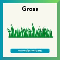 Grass