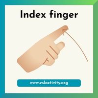 Index finger