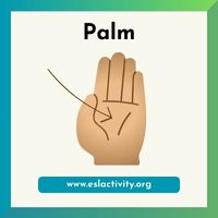 Palm