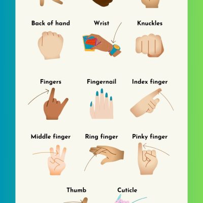 Parts of the Hand in English with Pictures | Finger Names