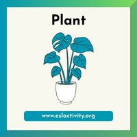 Plant