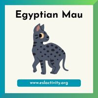 Egyptian Mau