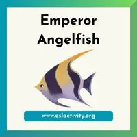 Emperor Angelfish