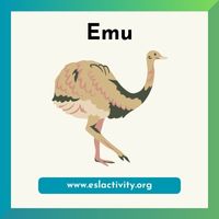 Emu