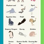 animals that start with E