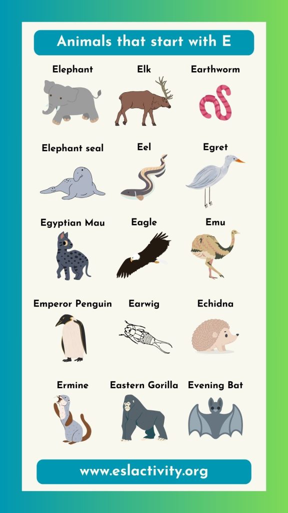 animals that start with E