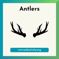 Antlers