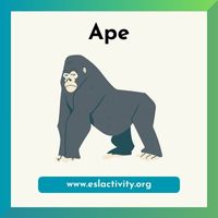 Ape