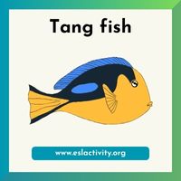 Tang fish