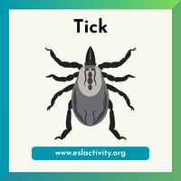 Tick