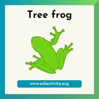 Tree frog