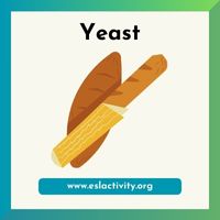 Yeast