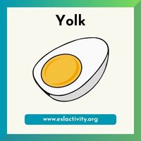 Yolk