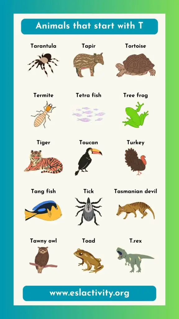 animals that start with T