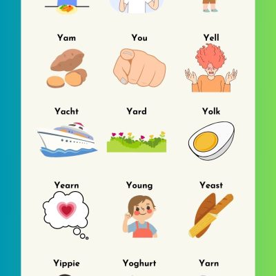 Common Words that Start with Y in English with Images