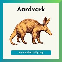 Aardvark